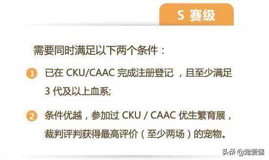 一只赛级犬要好几十万？真的那么难得吗？