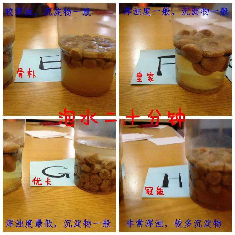 几款热门品牌狗粮的测评来啦！