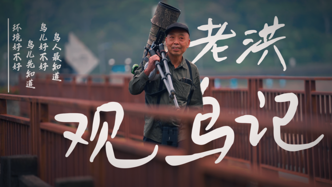 21个4T的硬盘，超40万张照片！这个人挺牛！很多厦门人喜欢做这件事，你呢？