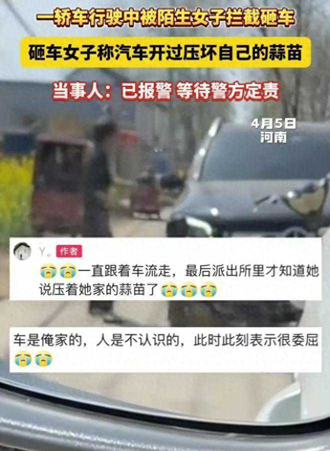 大妈砸奔驰成犯罪行为？法律界权威解读引发舆论风暴！