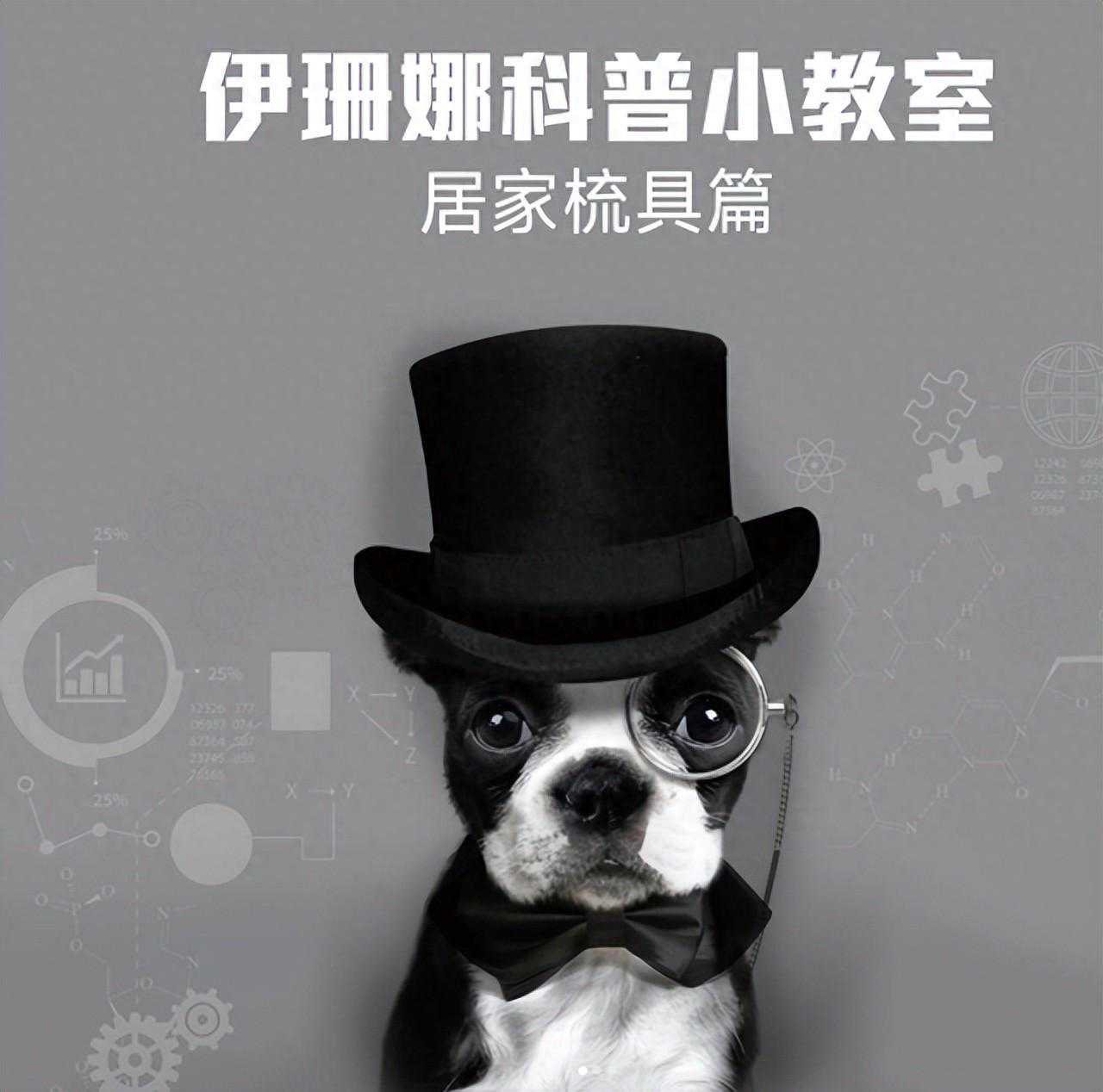 推荐几个实用的护理小工具，让宠物洗护更加分！