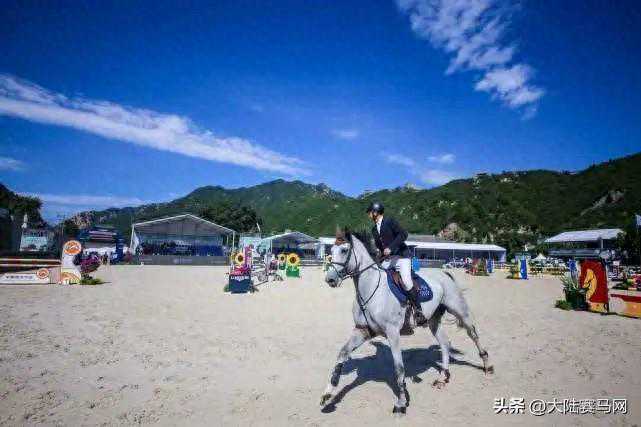 中马协将举办路线设计师、星级马术教练、马匹护理师培训考核
