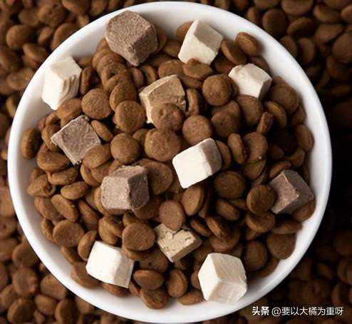 9款狗粮优缺点，哪款适合你家狗？