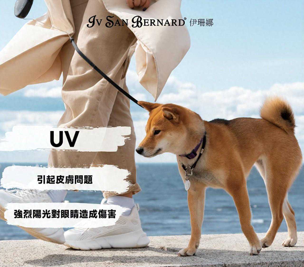 紫外线对宠物杀伤力大！夏日防晒攻略