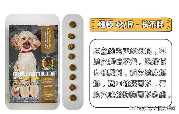 8大狗粮真实测评！狗粮哪个牌子好？