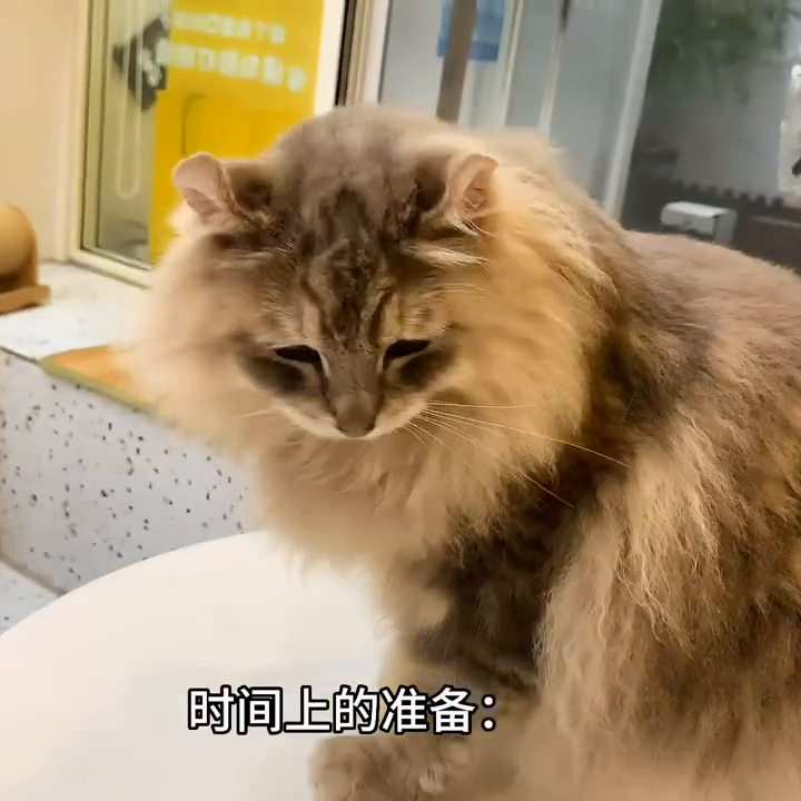 宠物托运费用是多少？你知道吗？