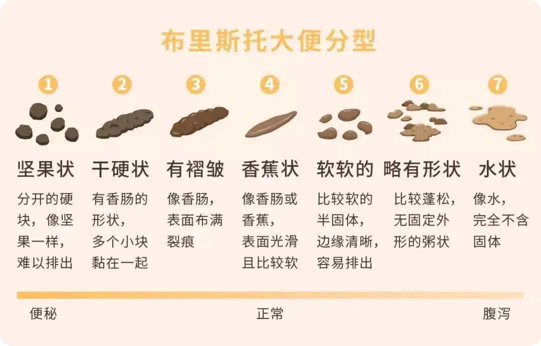 了解狗狗，从粑粑开始（这是一篇有味道的文章）