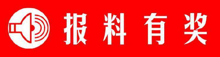 这只漂亮的宠物貂 可以陪女主人上街溜几圈吗？
