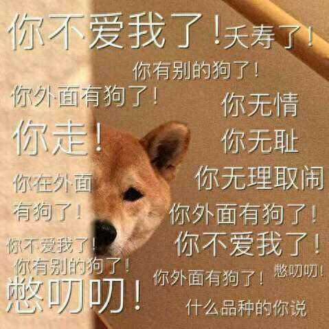 养狗“最忌讳”的7大问题，你可不要轻易触犯！