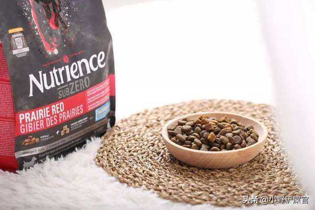 你家狗狗吃什么粮？来看我撒这一波狗粮