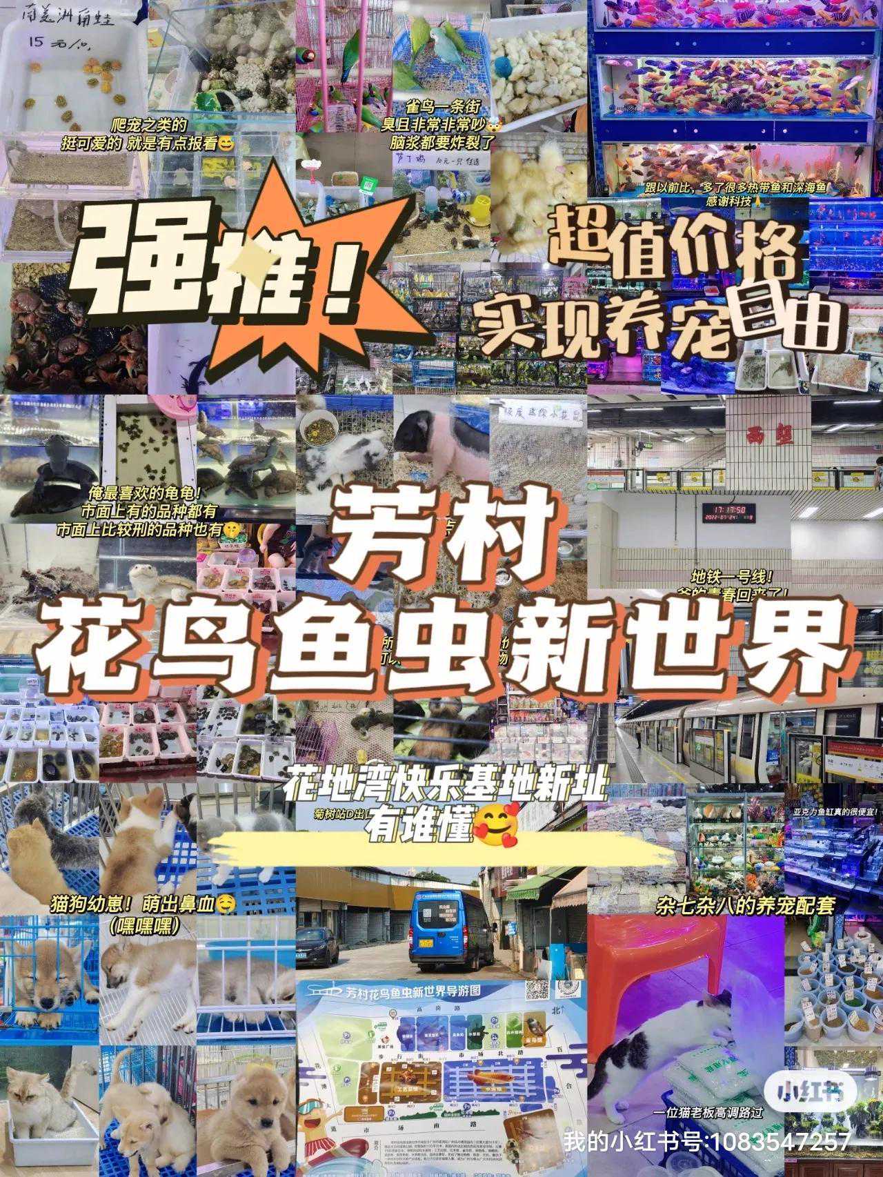 探访广州批发市场（1/15）芳村花鸟鱼虫新世界