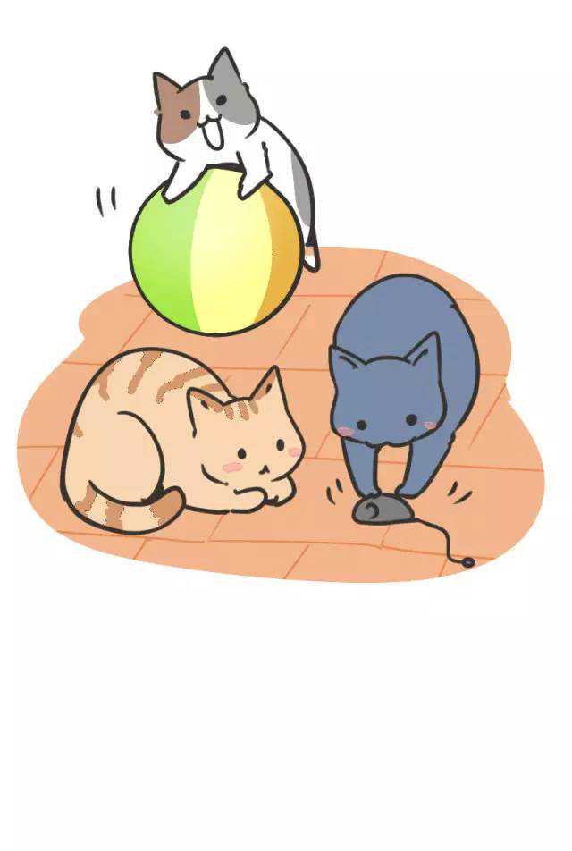 养个猫居然犯法了？谁让你傻傻分不清豹猫和孟加拉猫
