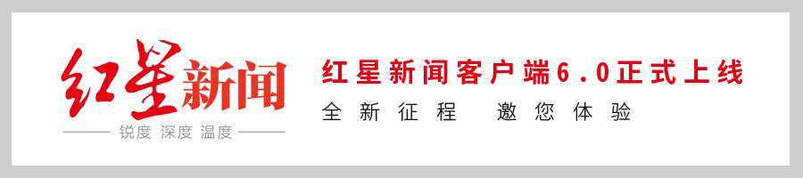 成都办理电子犬证达41.8万 想领养流浪小动物看这里