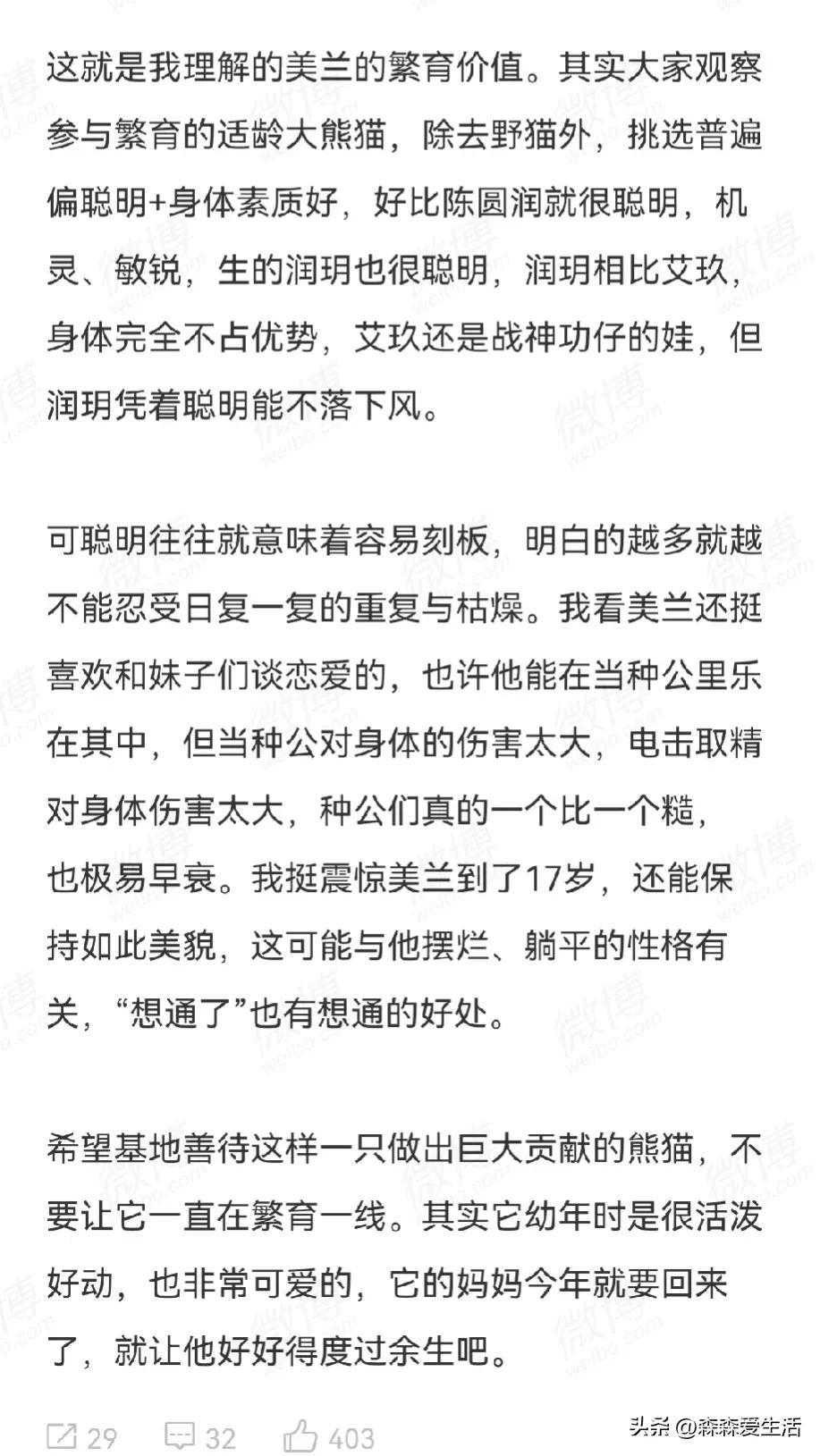 美兰，为什么成为种公，看到分析帖了