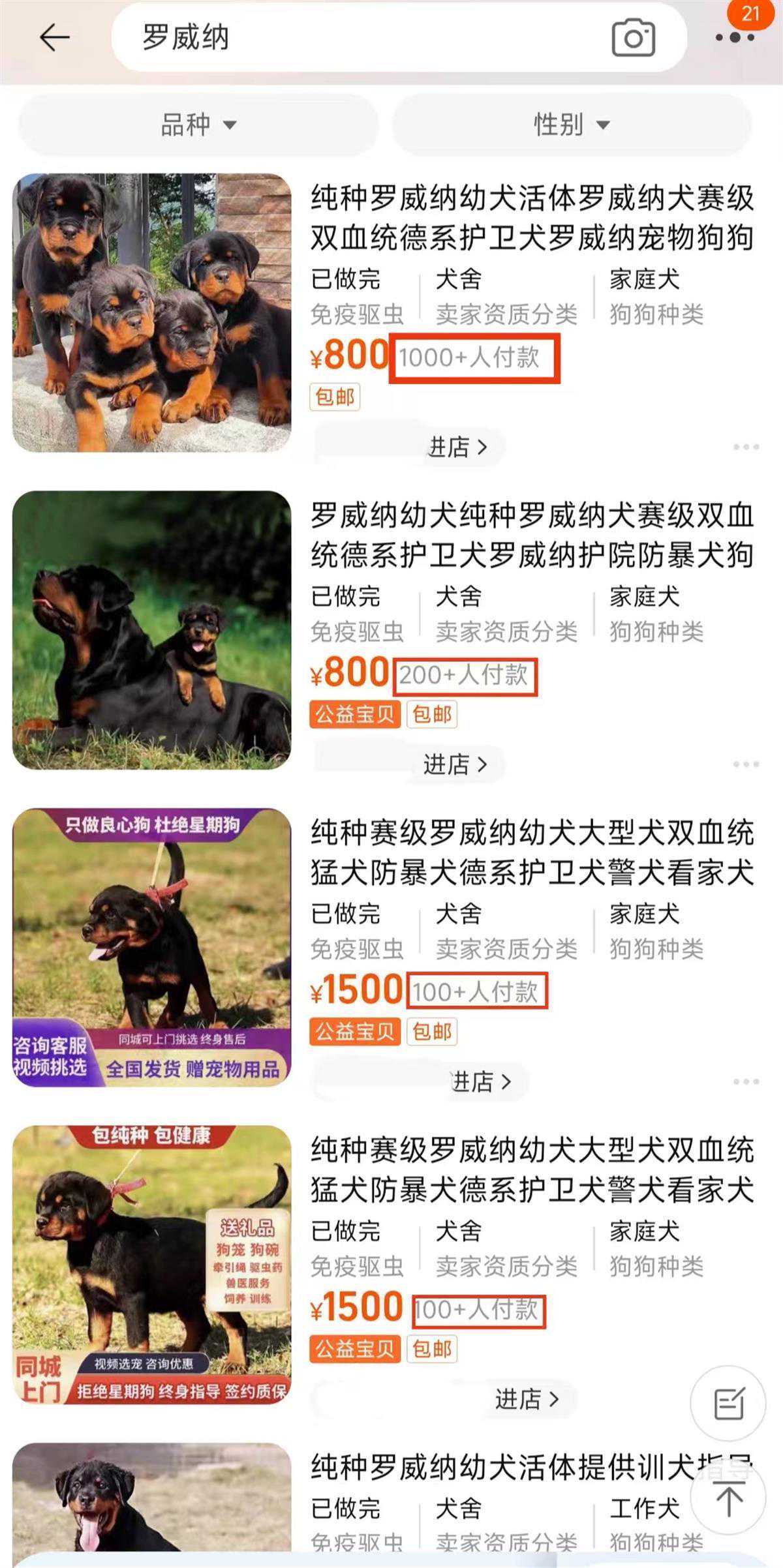 罗威纳犬在多个店铺月销过百，该禁养的狗就应该坚决禁养
