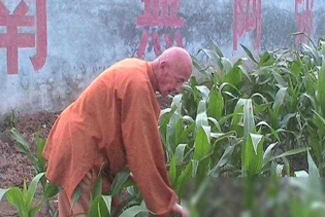 112岁不老僧，以戒为师，一句南无阿弥陀佛，念了92年