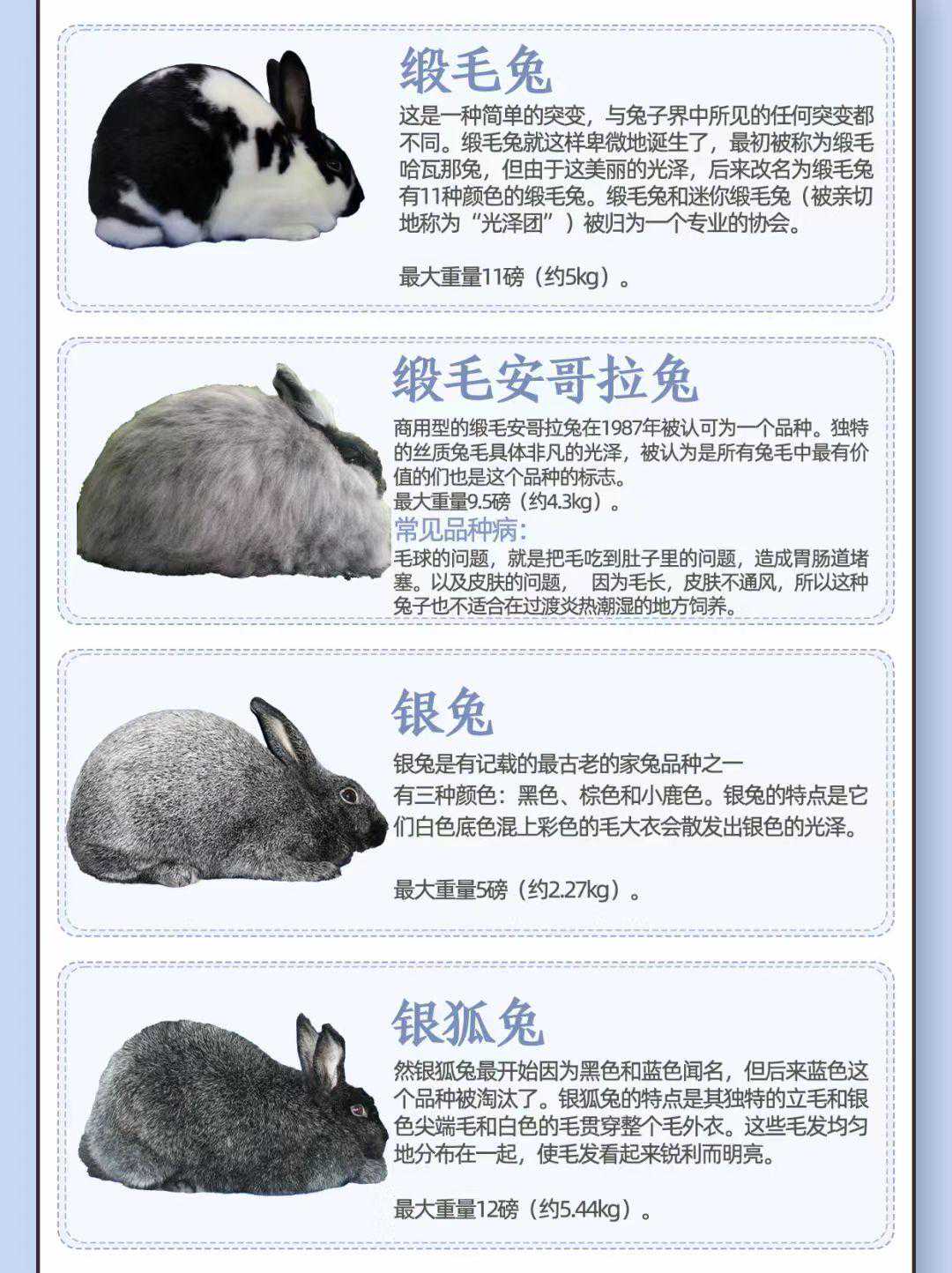 80种兔兔大揭秘，总有一种适合你！