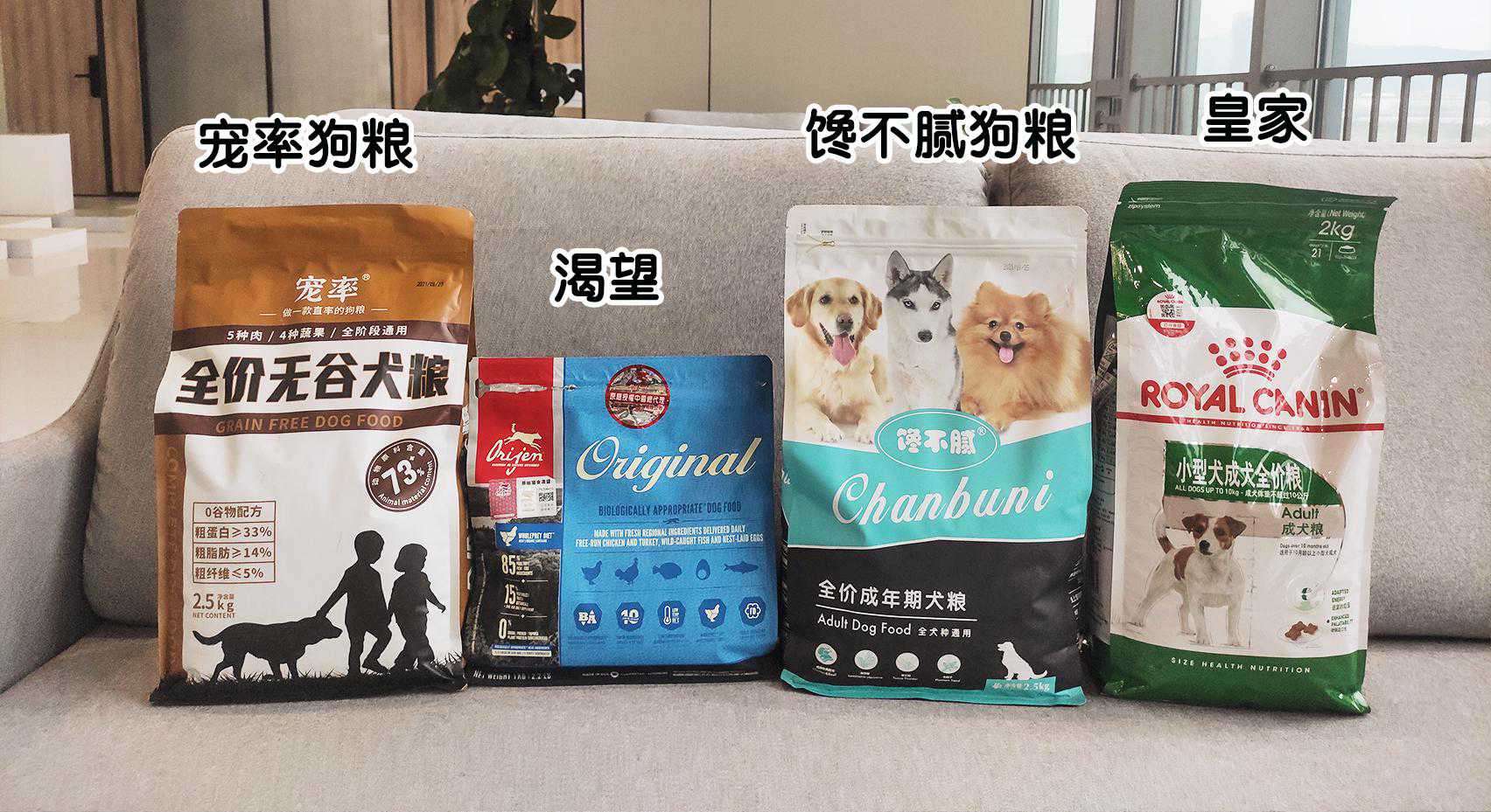 英国斗牛犬和法国斗牛犬，如何区分？