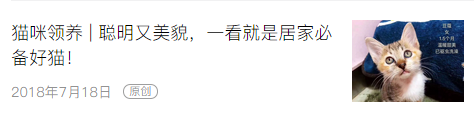 「猫咪领养」萌兽出没，坐标广州海珠/天河