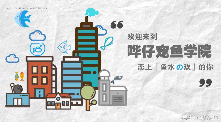 盘点12种低调罕见的观赏鱼，真把它们放进你的鱼缸，反而很惊艳