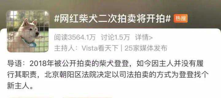 网红柴犬苦等主人7年两次被拍卖，半小时价格已喊到3.1万