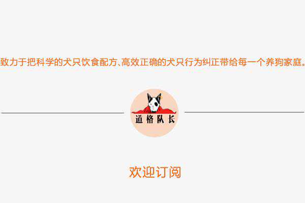 道格队长丨狗狗的行为纠正26期丨狗狗老爱骑狗骑人怎么办？