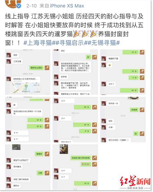 一个“职业找宠人”的自述：月薪上万，常被当成小偷，最多一天找到5只猫