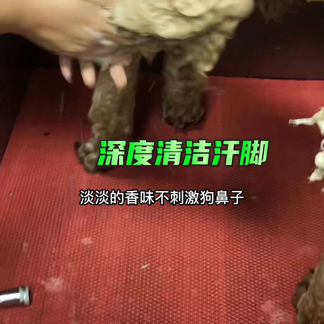 宠物洗的好，浴液护毛少不了，铁汁们10分满分，能给打多...