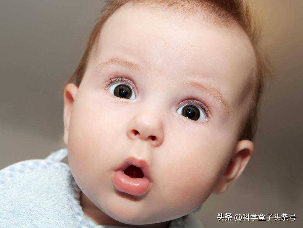 世界上最老的狗是否真的存在