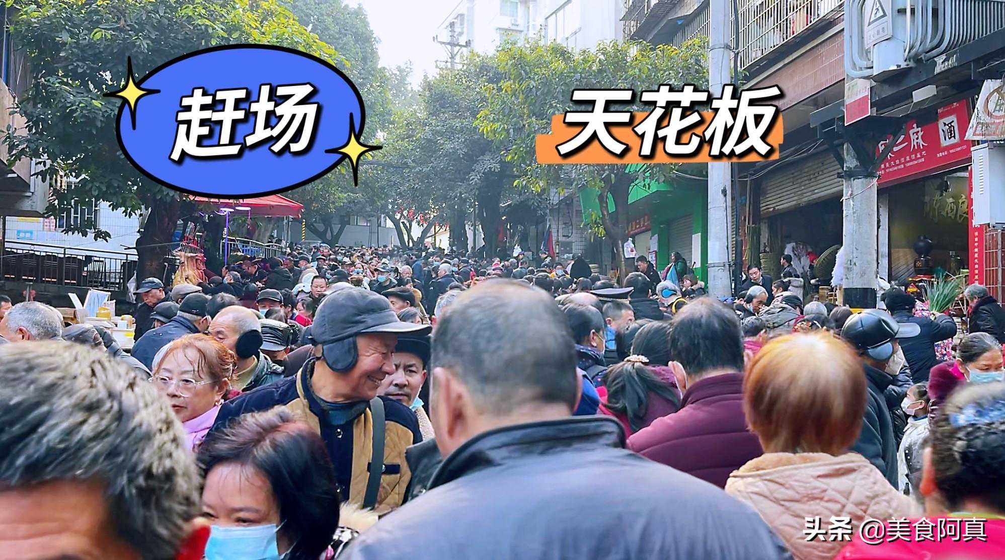 打卡重庆渝北狗儿市场，这里的人气超级旺，到底有什么特别之处呢