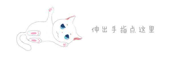 猫也分三六九等？20元猫咪与数千元并无差别，只因健康才是关键