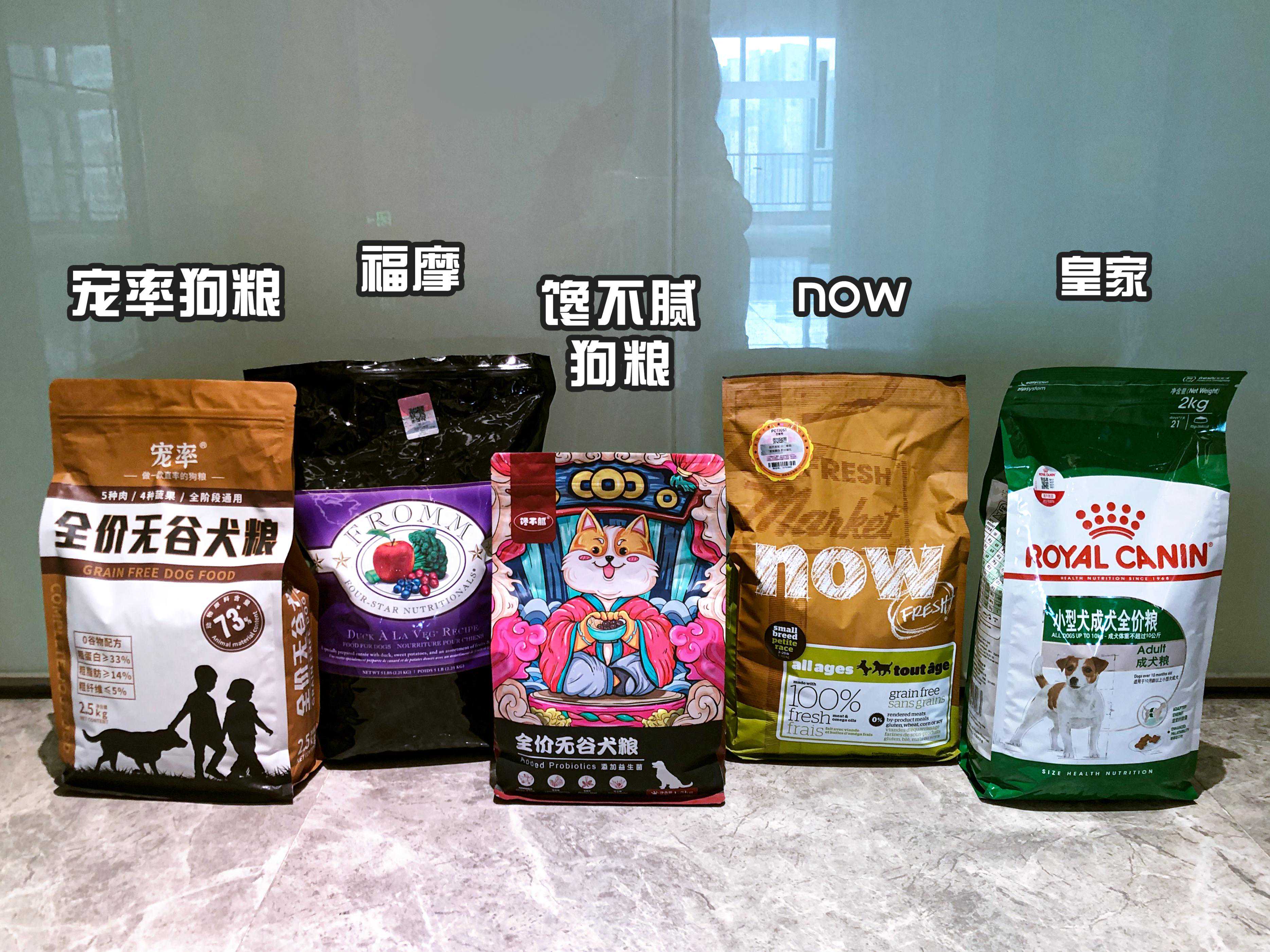 为何越来越多人养“迷你腊肠犬”，网友：养了就不想换狗了