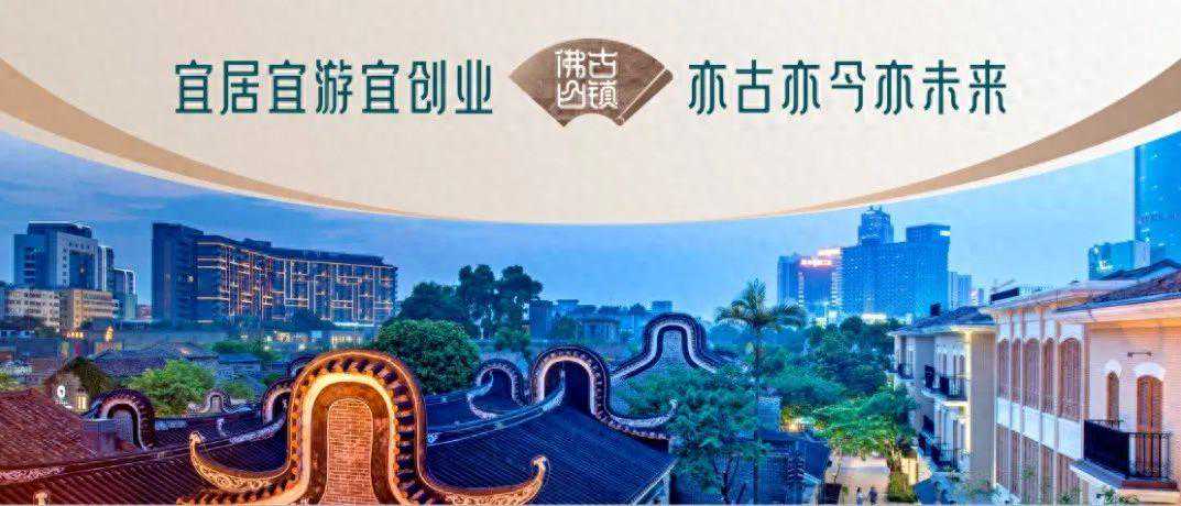 “校花”“校树”不断涌现！祖庙各学校助力“老城新绿”全域绿美行动