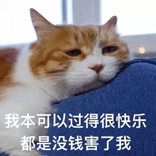 养猫久了才知道，一只猫“睡在你身边”，不只是因为爱你！