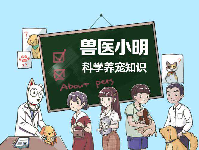狗狗睡觉时抽动是不是在做梦？它们会梦见什么呢？可能和主人相关