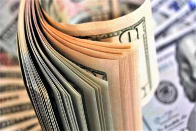 狗狗发烧怎么办？赠你这6个解决办法