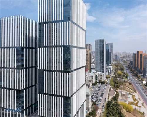宠物店给狗狗理个发竟然要100元
