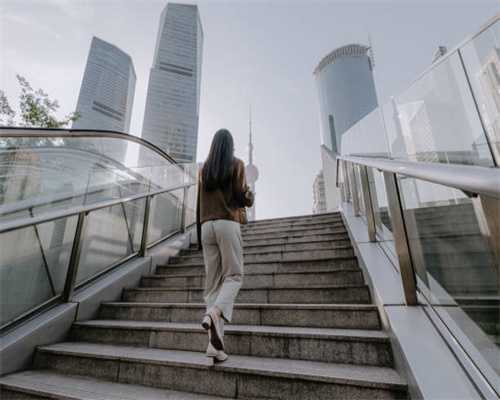 盘点那些容易胖的狗狗，你家上榜了吗