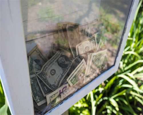 狗狗呕吐腹泻怎么办？常见的4个原因及相应的处理方法