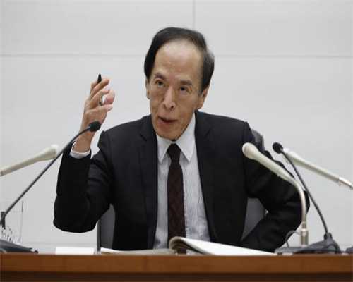 猫咪的毛发问题原来是这样处理的