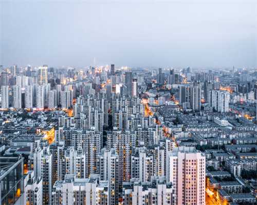 高萌来袭：你见过最大的兔子有多大？