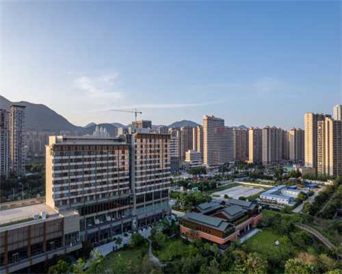 很容易“背叛”主人的6种猫，没有忠诚可言，养过的人才懂