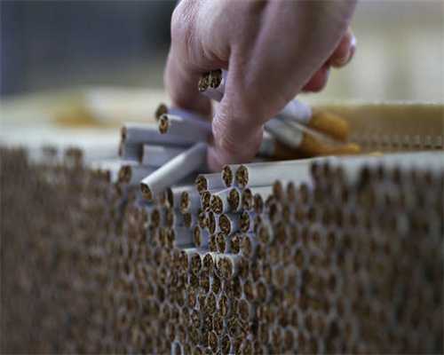 适合小猫的英文名可爱洋气-可爱点