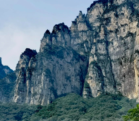 狗狗出现这6种“滑稽”动作，可能是生病了，主人要重视