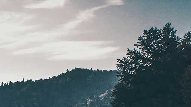 1分钟认识一种小乌龟——国龟篇